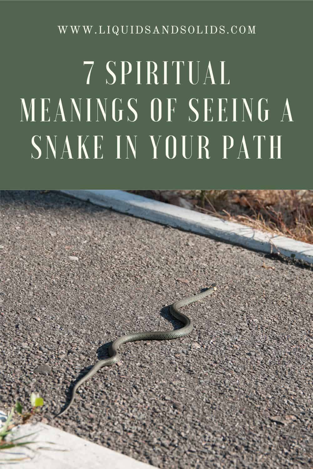 The Meaning Of Seeing A Snake In Your Path