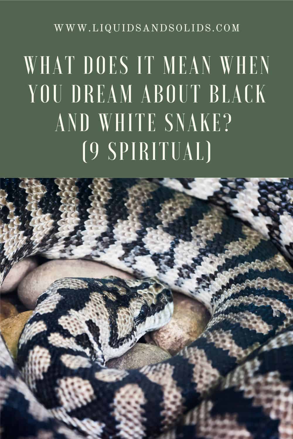 The Symbolism of Black and White Snake
