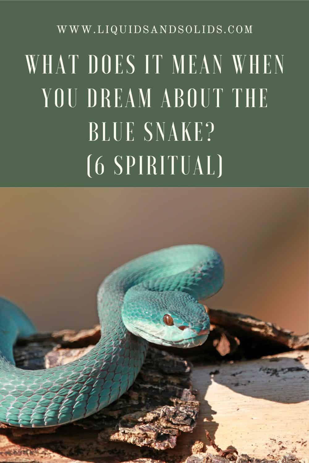 The Symbolism of Snakes and the Color Blue