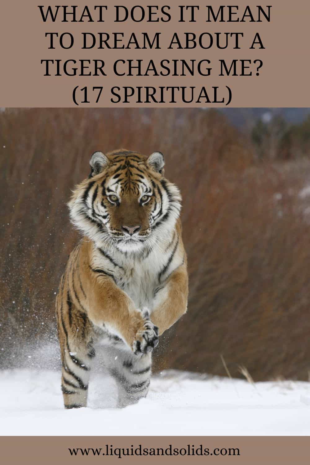 What Does It Mean To Dream About A Tiger Chasing Me? (17 Spiritual) 
