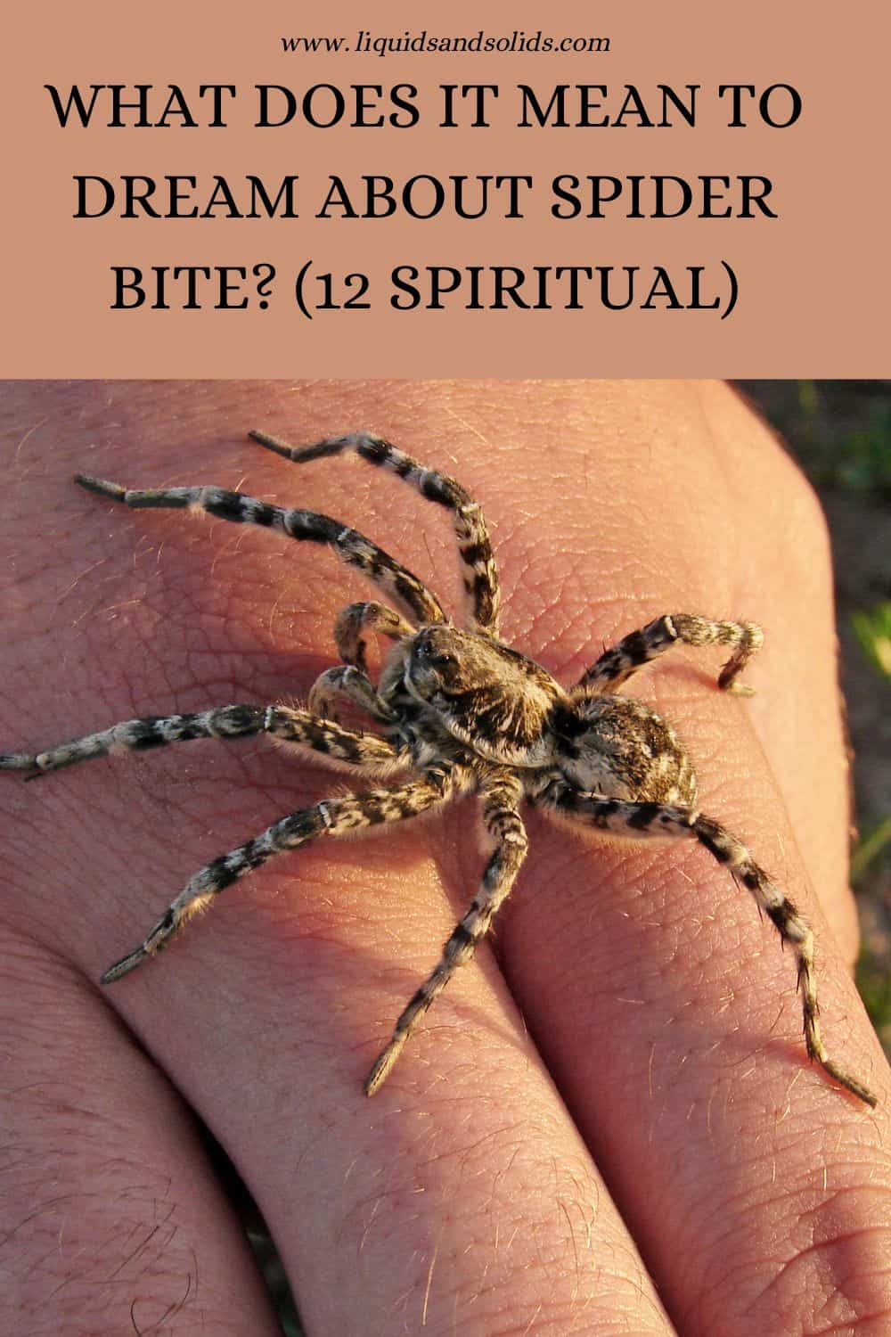 What Does It Mean To Dream About Spider Bite? (12 Spiritual)