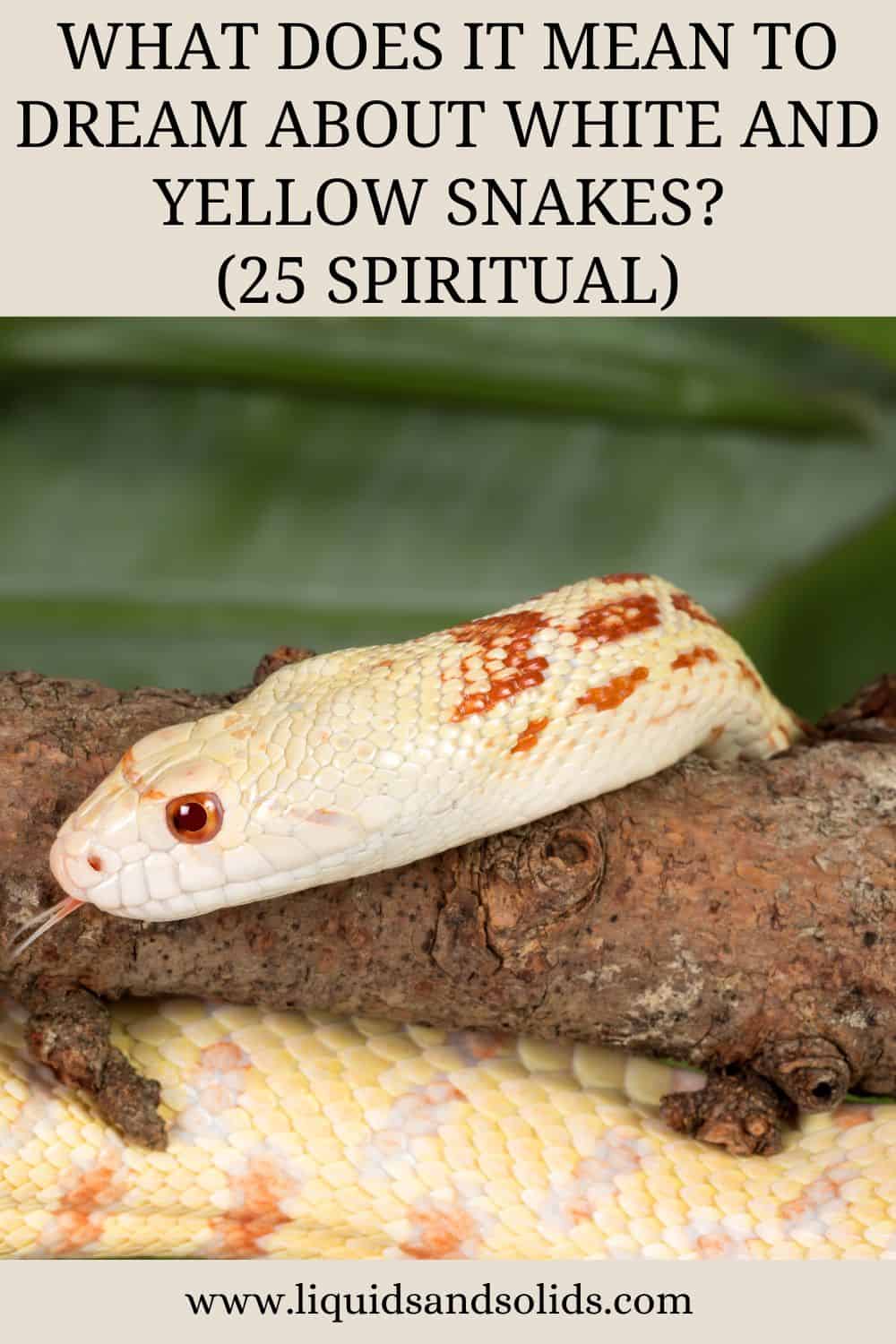 What Does It Mean To Dream About White and Yellow Snakes? (25 Spiritual)