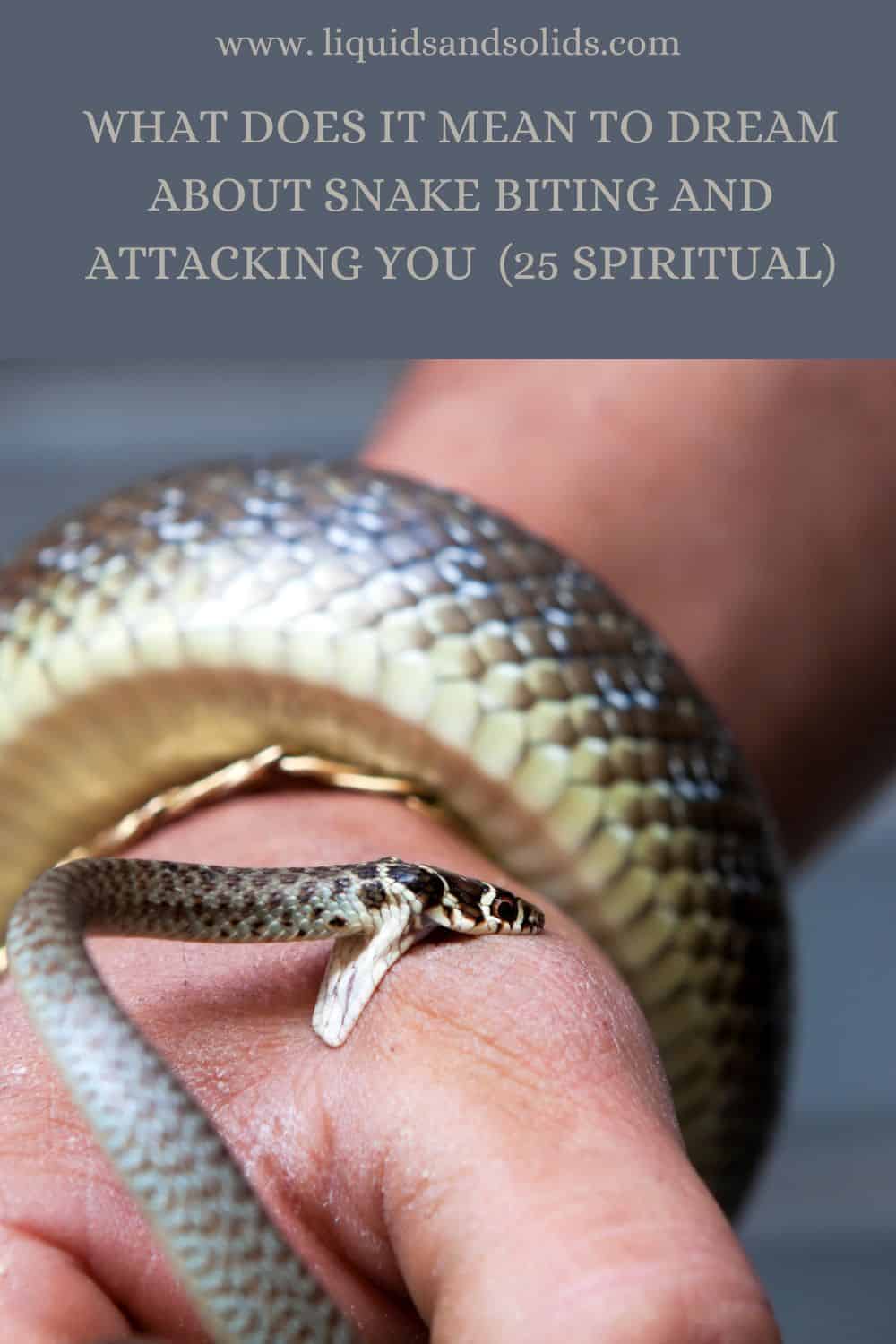Dream About Snake Biting & Attacking You? (25 Spiritual Meanings)