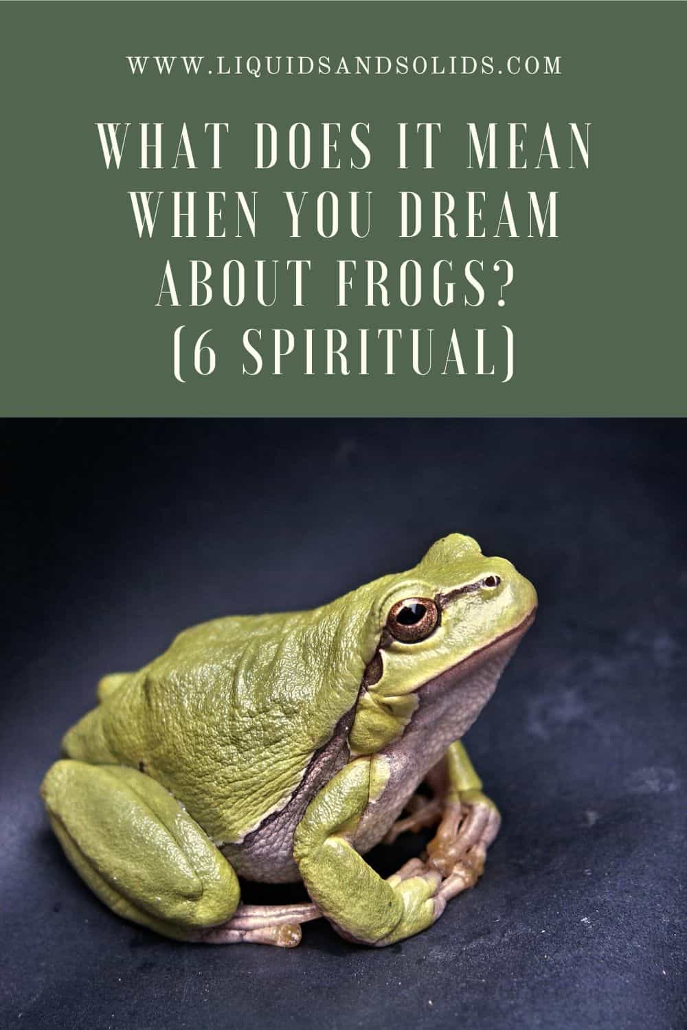 What Does It Mean When You Dream About Frogs?