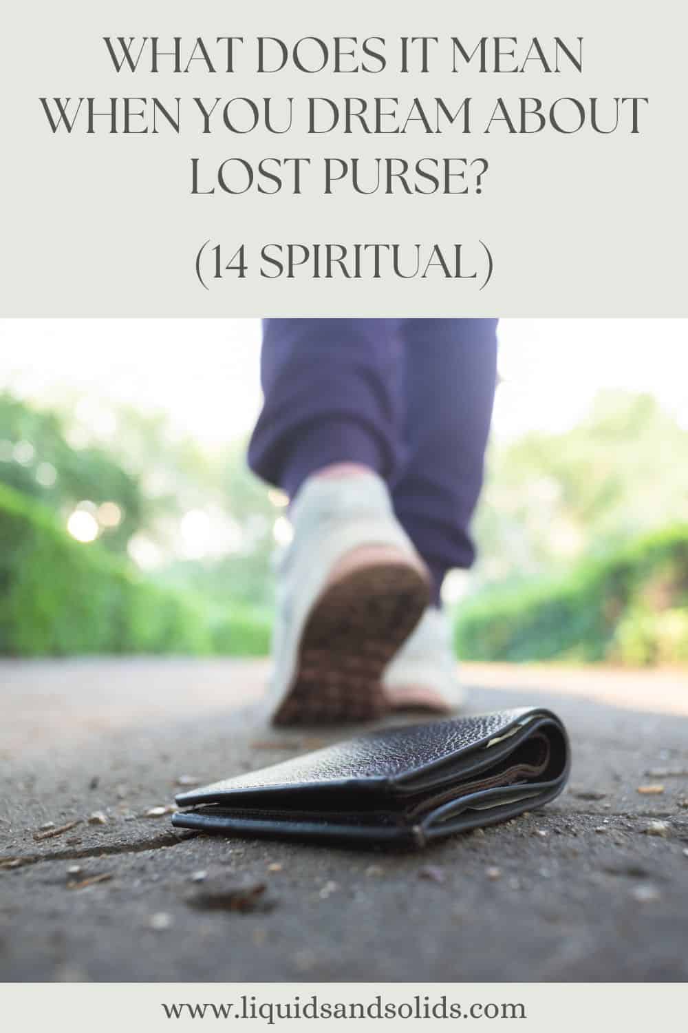 What Does It Mean When You Dream About Lost Purse? (14 Spiritual)