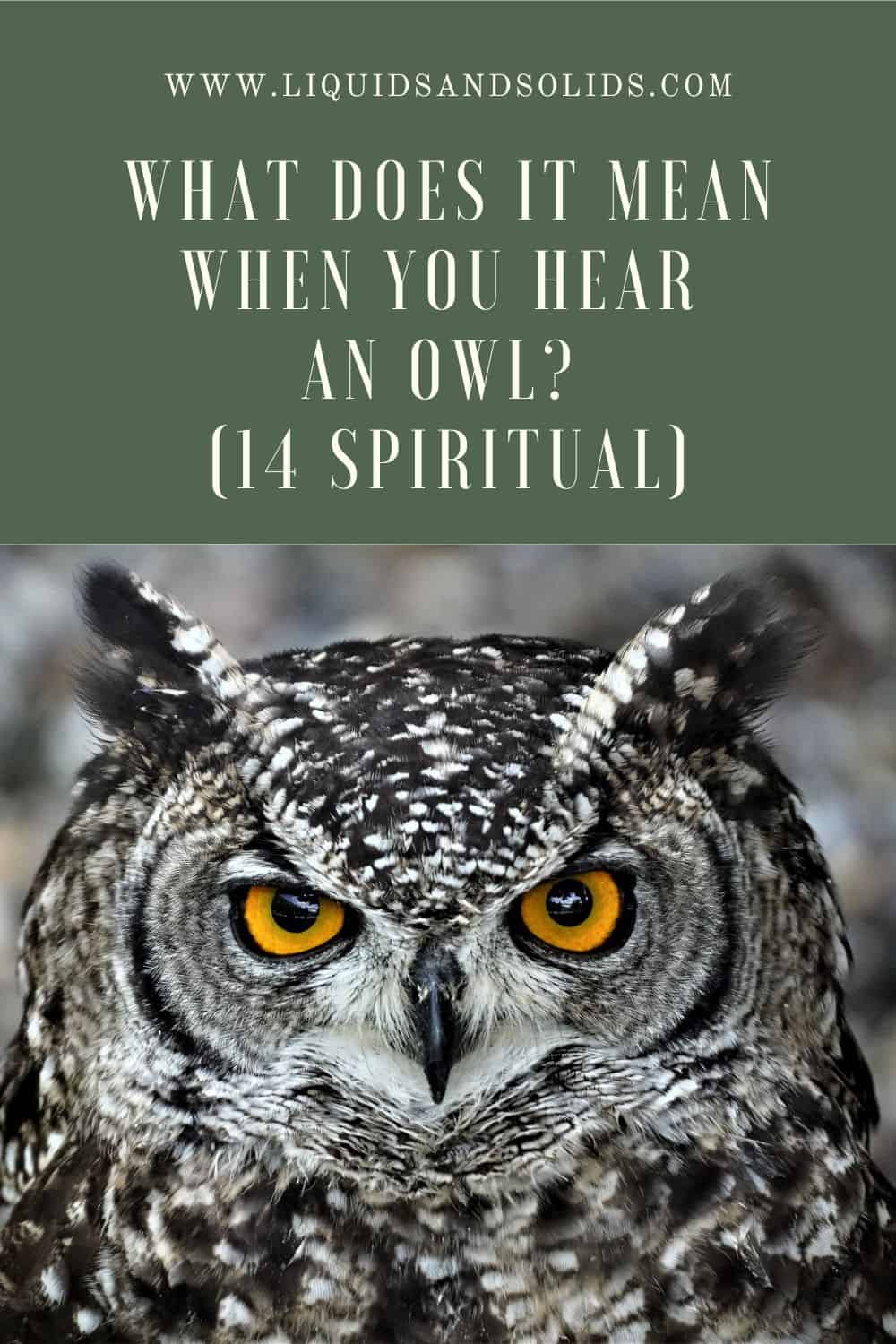 What Does it Mean When You Hear an Owl?