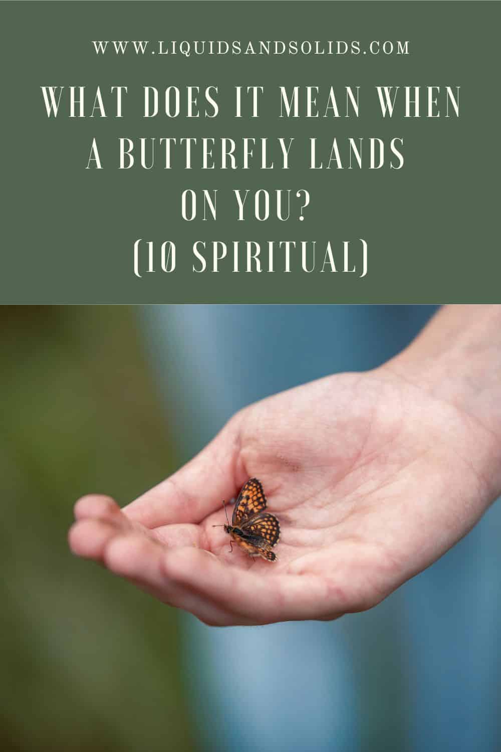 What does it mean when a butterfly lands on you?