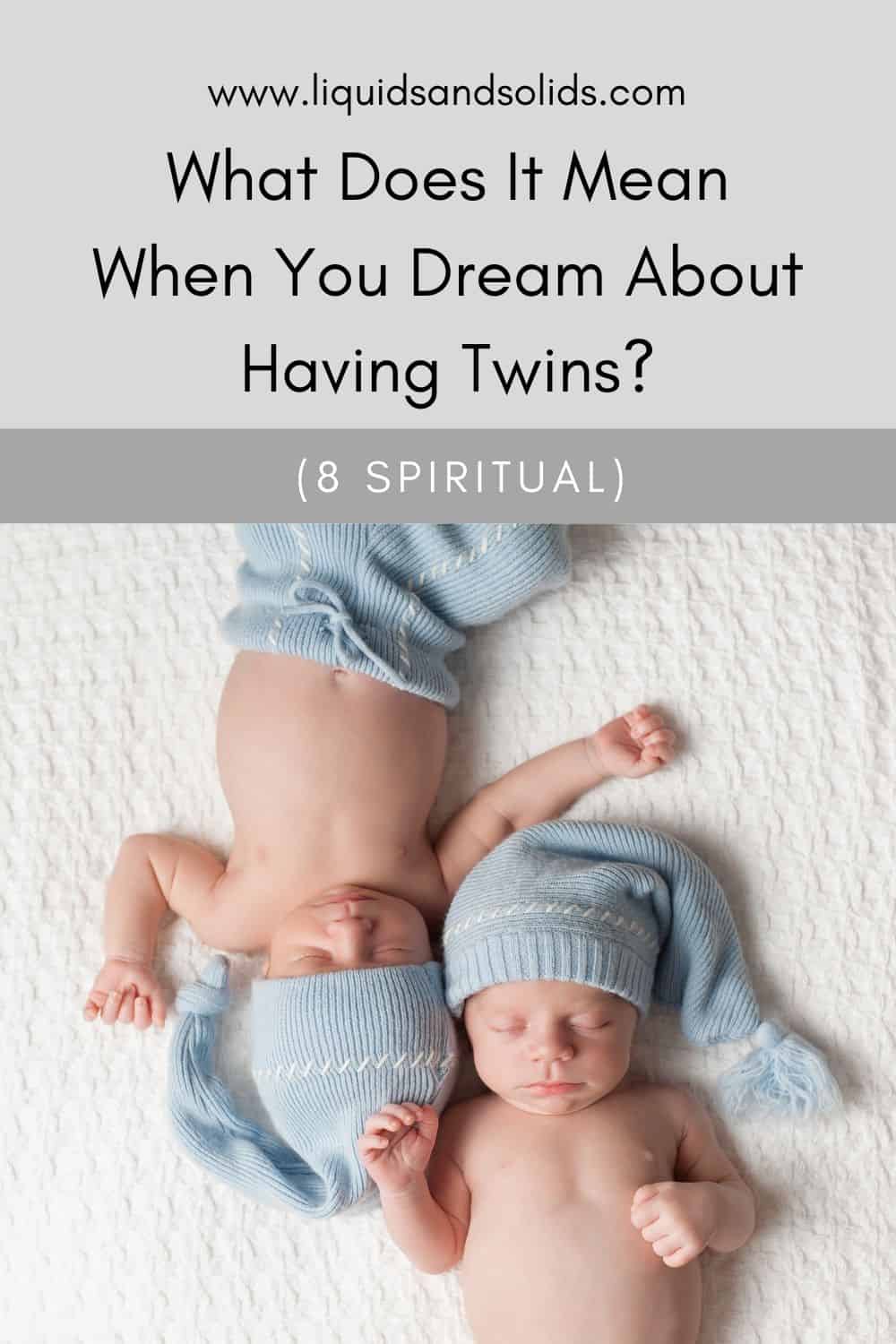 dream about having twins meaning