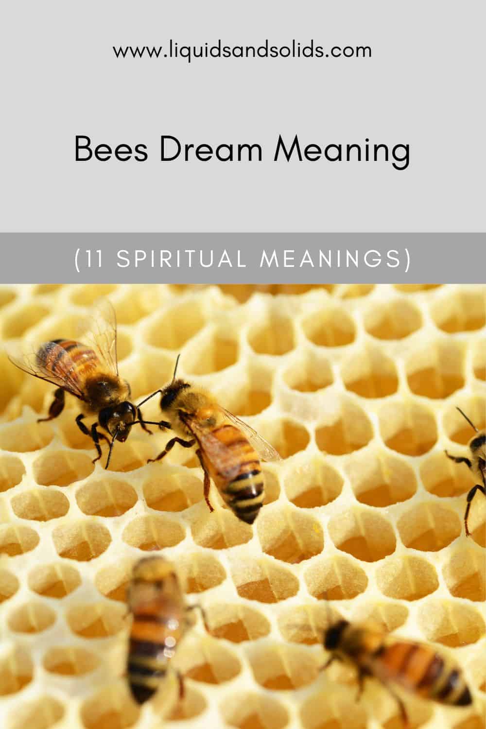 Bees Dream Meaning (11 Spiritual Meanings)