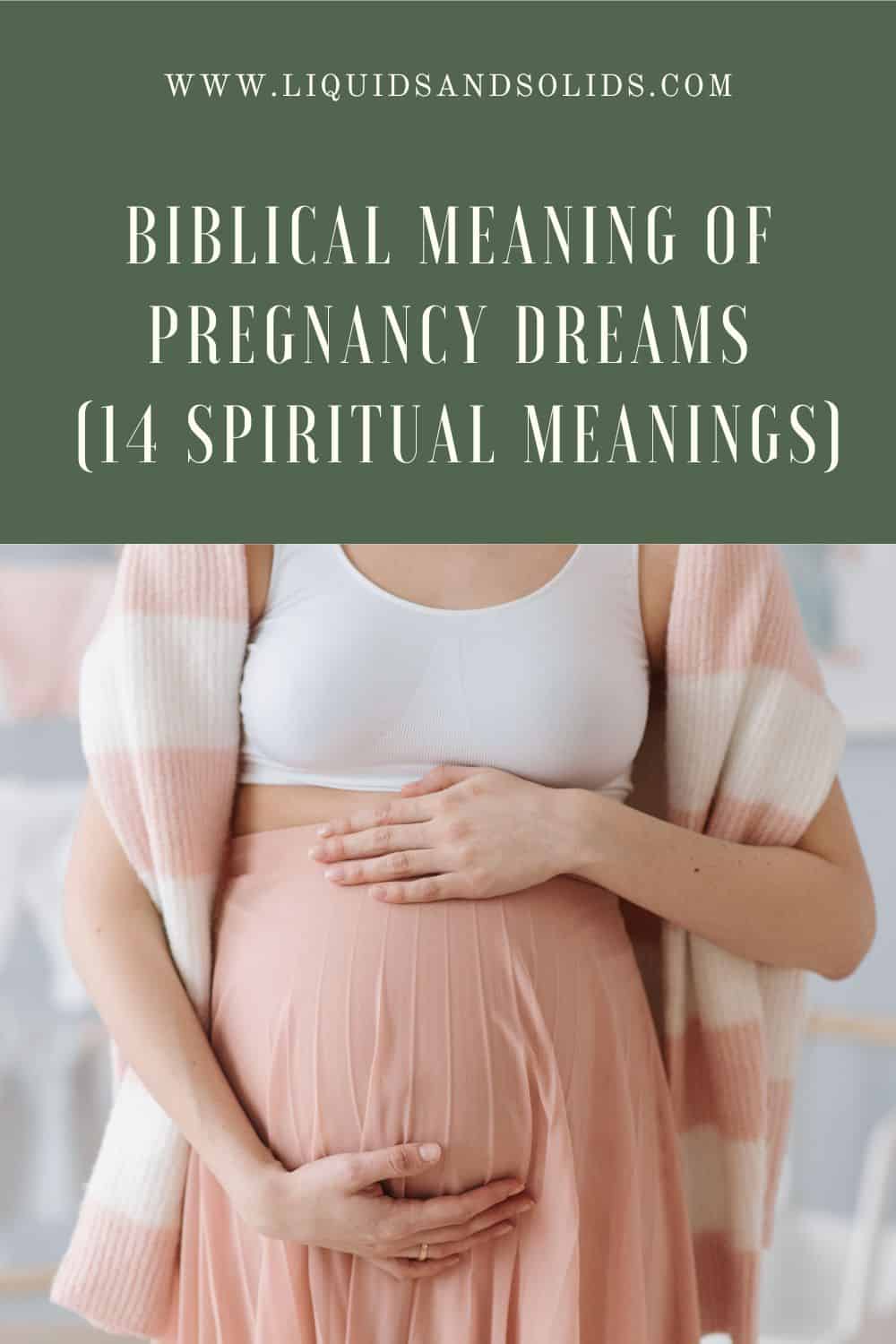 Biblical Meaning Of Pregnancy Dreams (14 Spiritual Meanings)