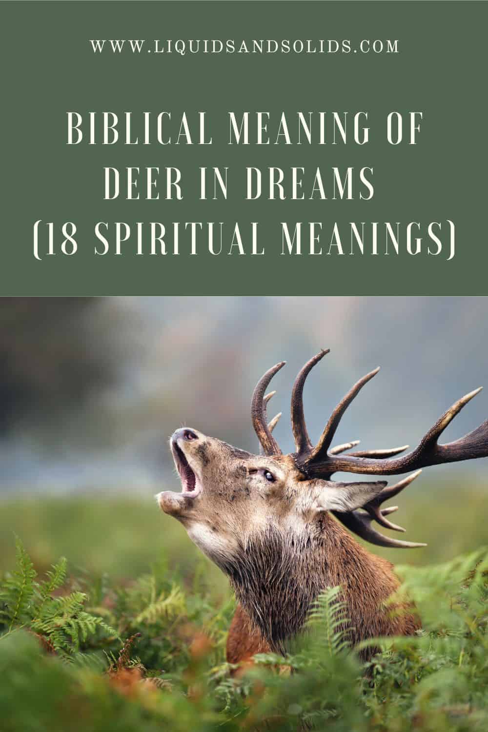 Biblical Meaning of Dreams about Deer