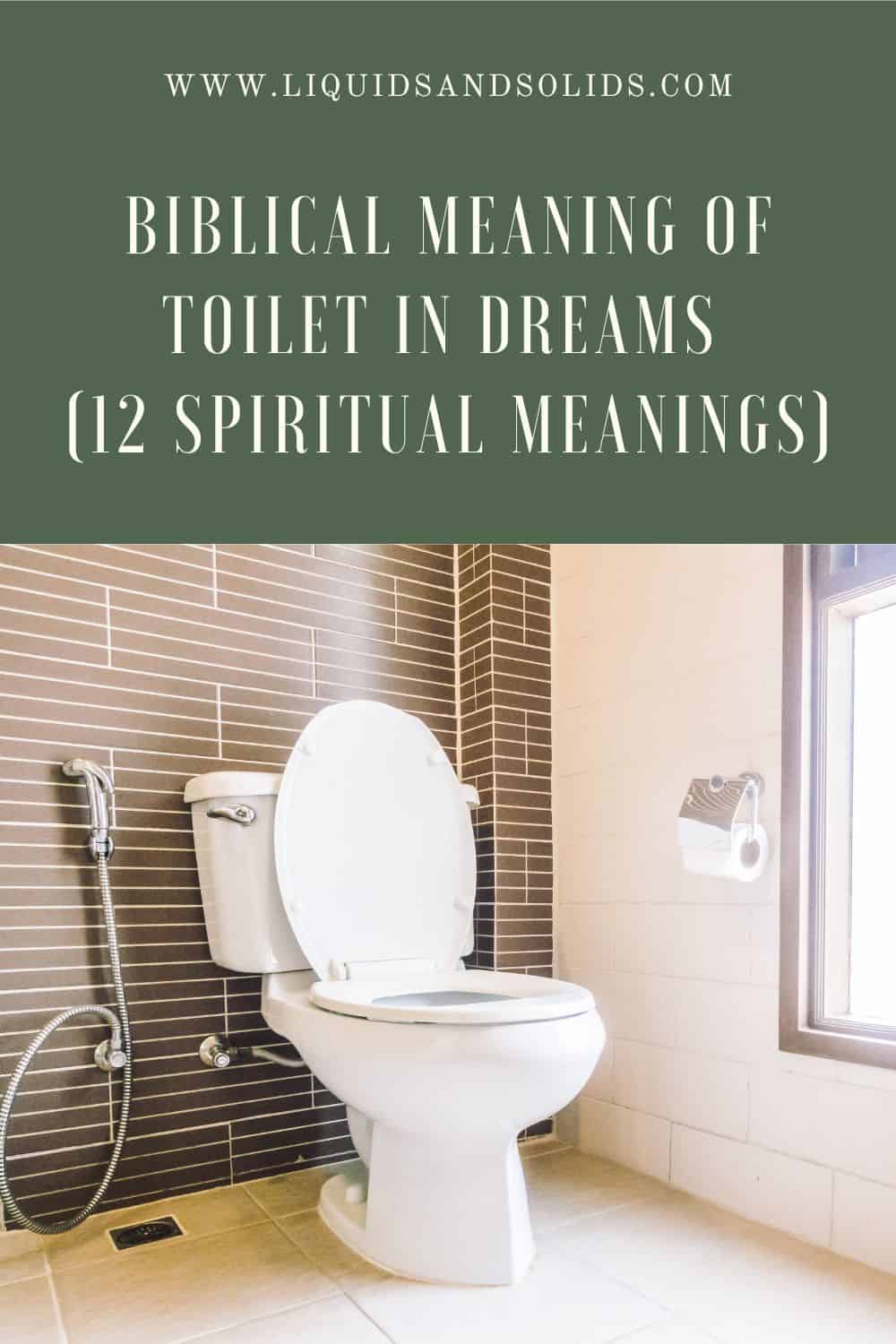 Biblical Meaning of Dreams about Toilets