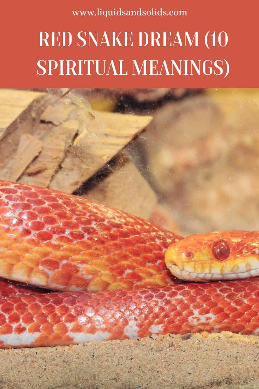 Red Snake Dream (10 Spiritual Meanings)