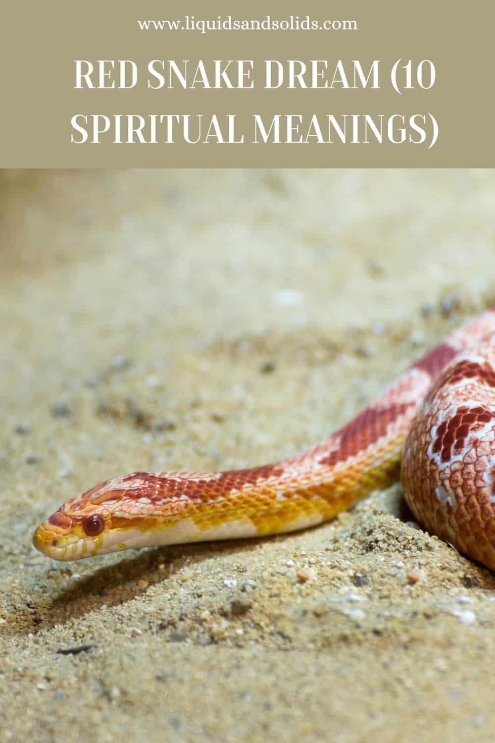 Dream about Red Snake? (10 Spiritual Meanings)
