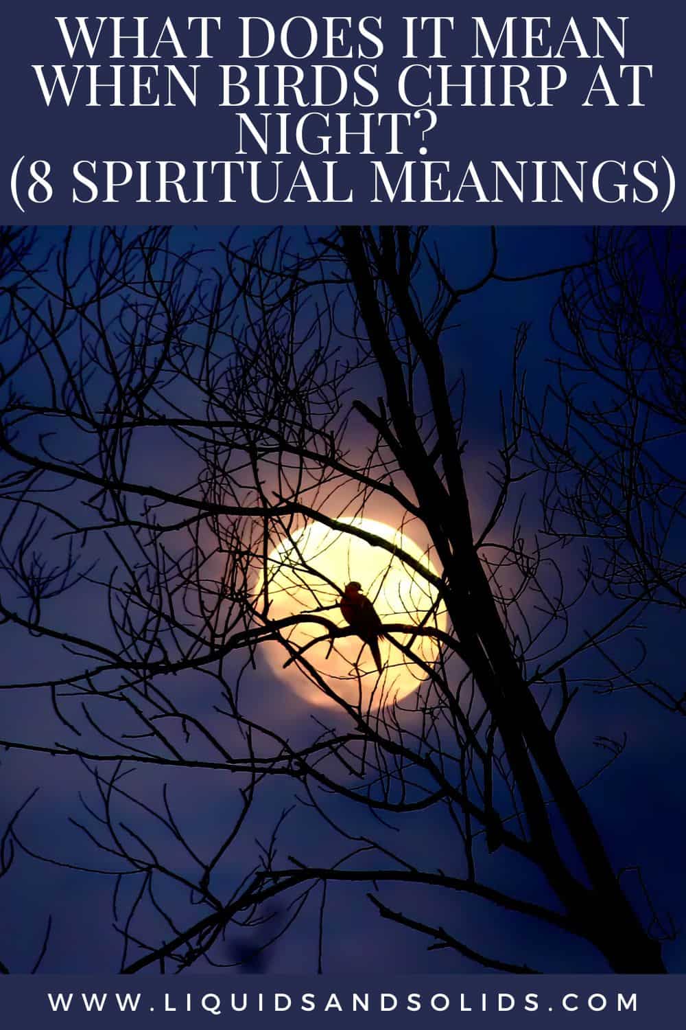 What Does It Mean When Birds Chirp At Night? (8 Spiritual Meanings)