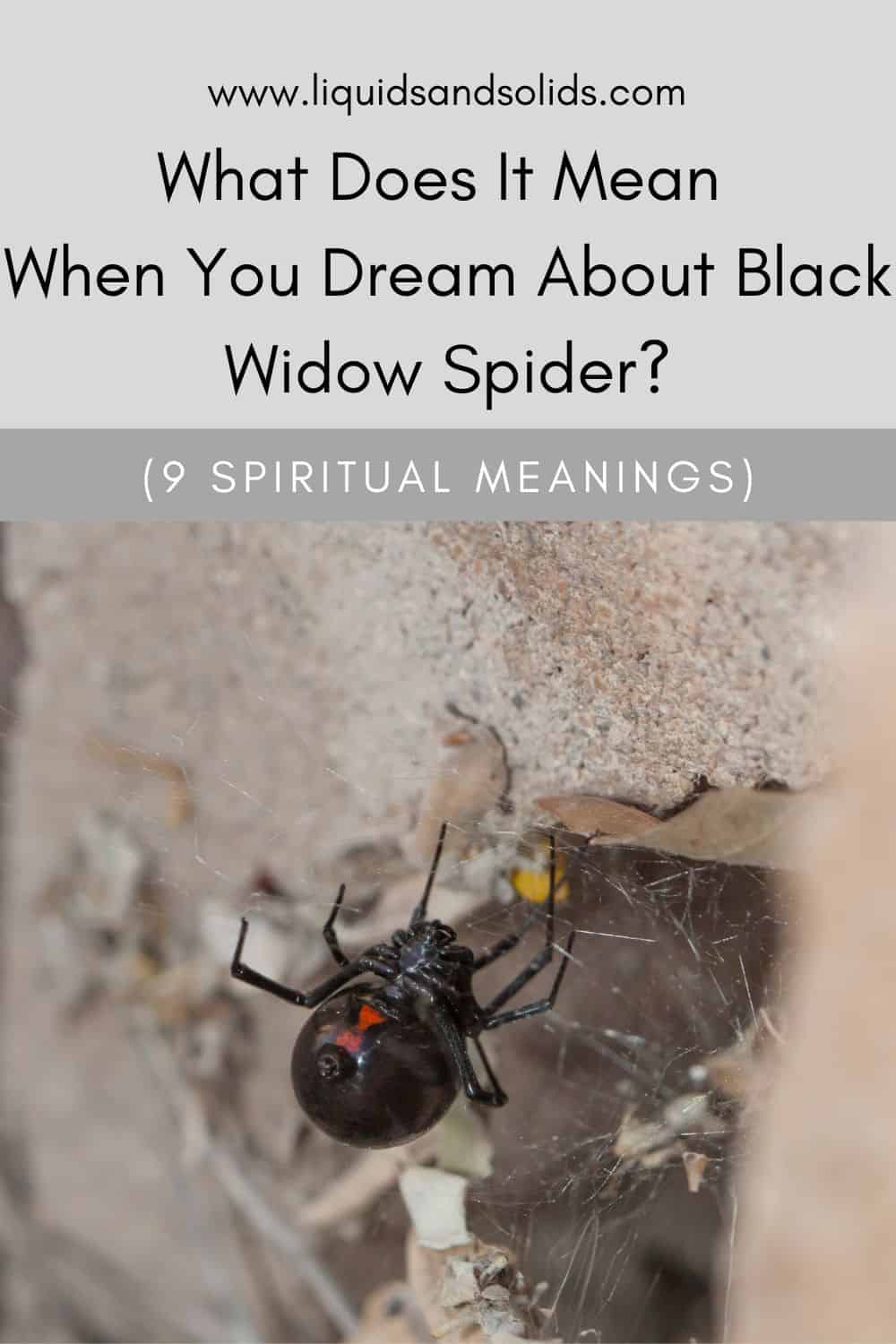 What Does It Mean When You Dream About Black Widow Spider? (9 Spiritual Meanings)