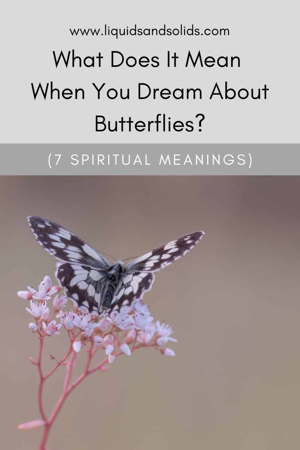 What Does It Mean When You Dream About Butterflies? (7 Spiritual Meanings)