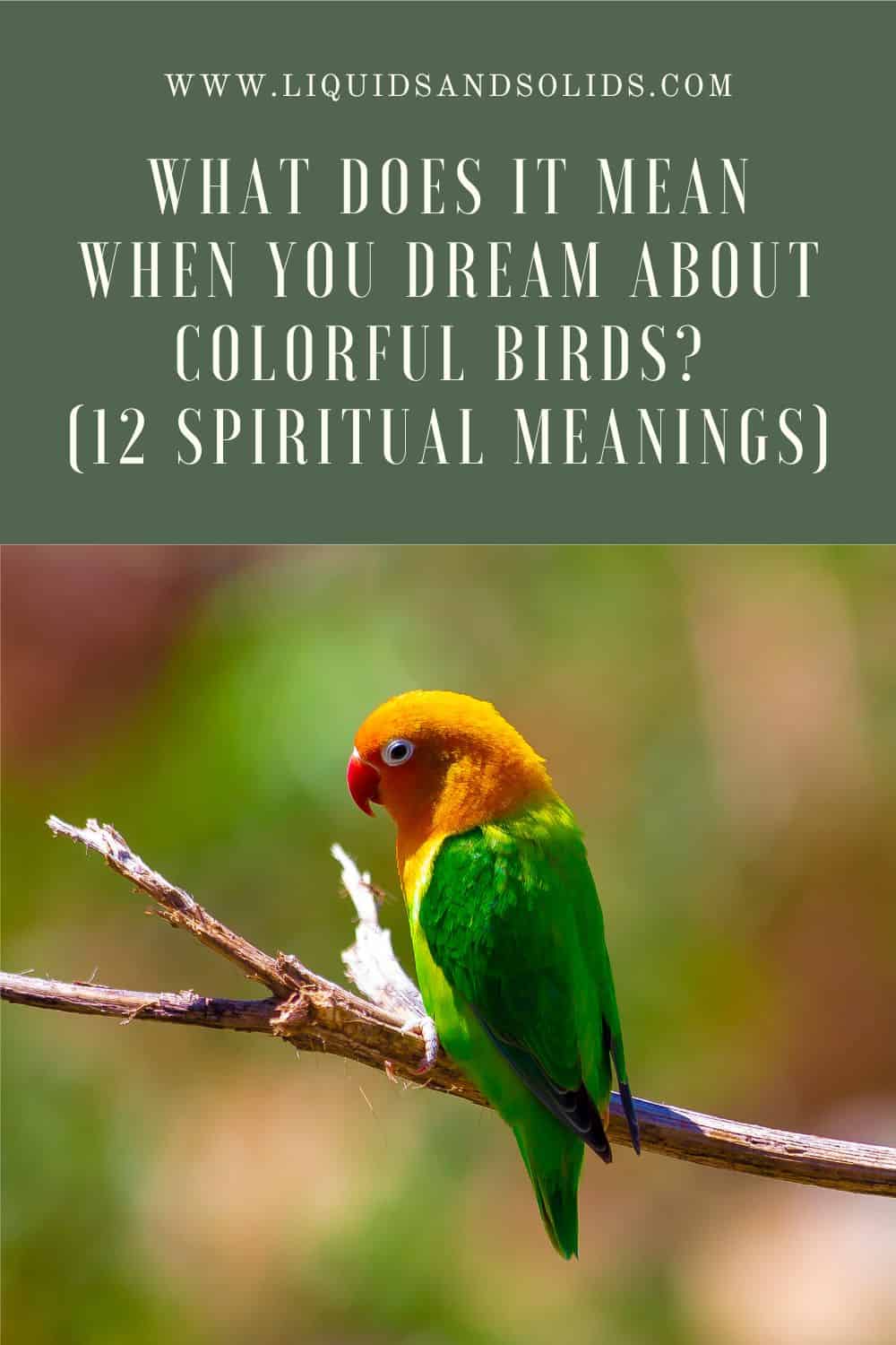 What Does It Mean When You Dream About Colorful Birds? (12 Spiritual Meanings)