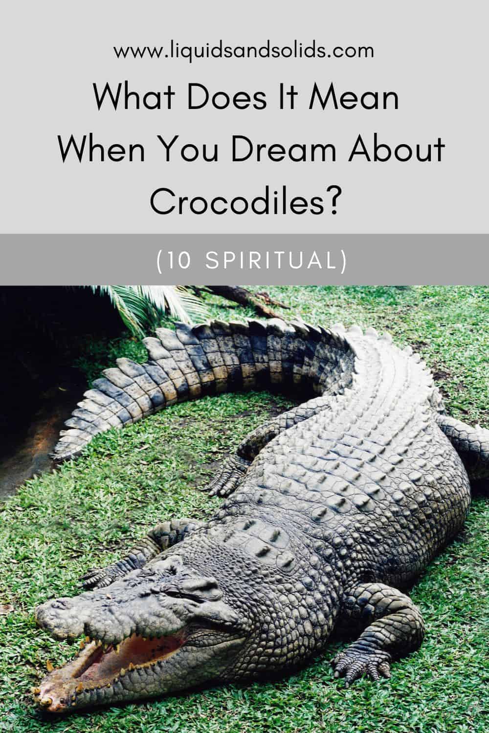 What Does It Mean When You Dream About Crocodiles? (10 Spiritual)