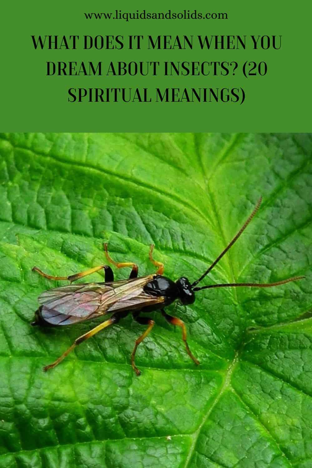 What Does It Mean When You Dream About Insects? (20 Spiritual Meanings)