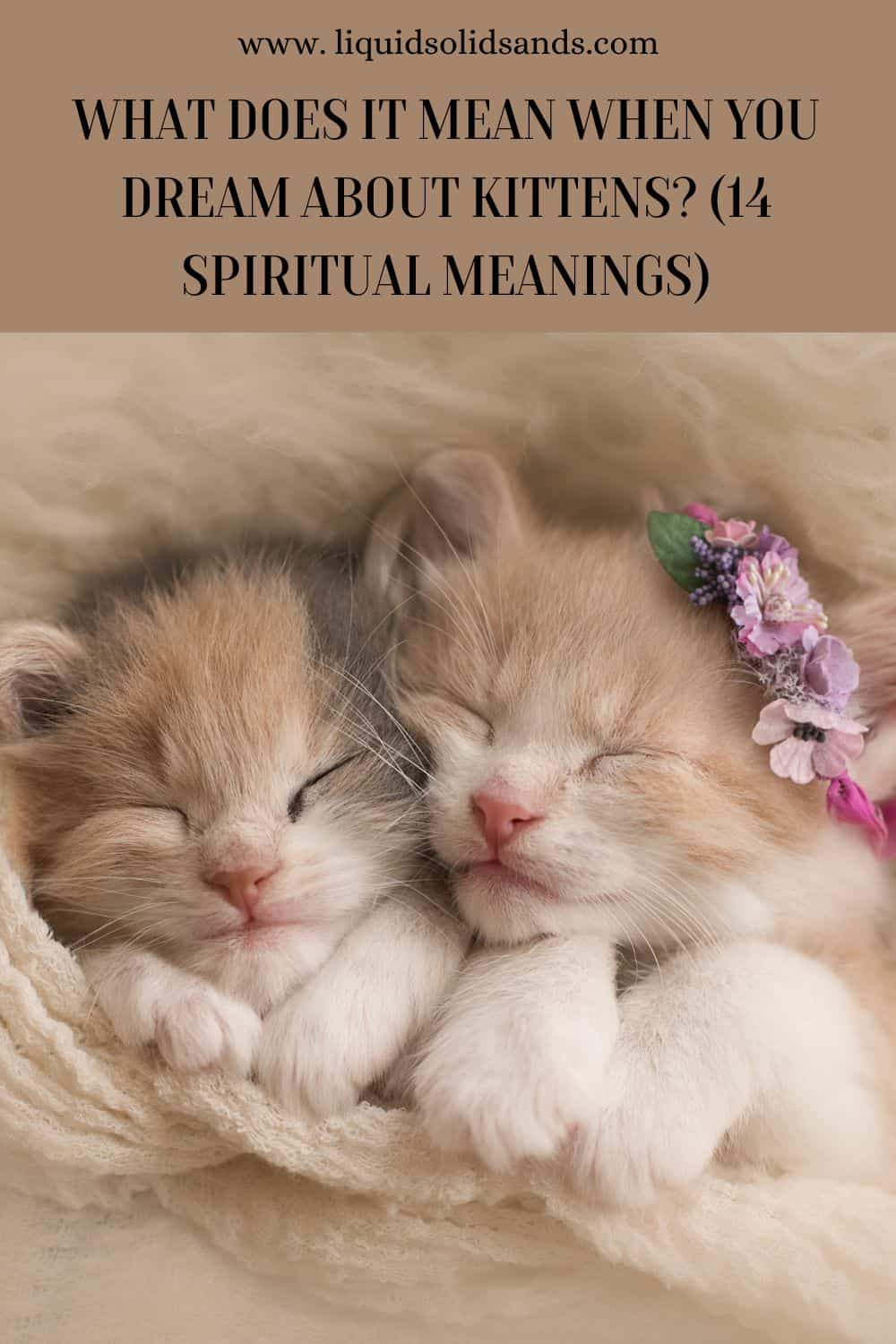 What Does It Mean When You Dream About Kittens? (14 Spiritual Meanings)