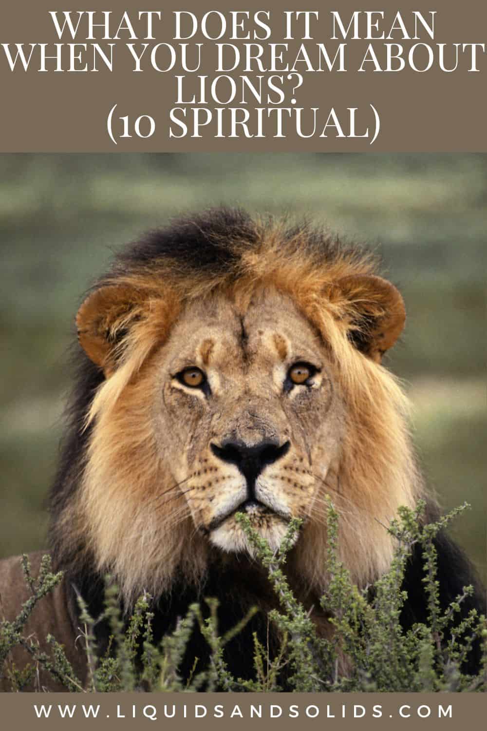 What Does It Mean When You Dream About Lions? (10 Spiritual)