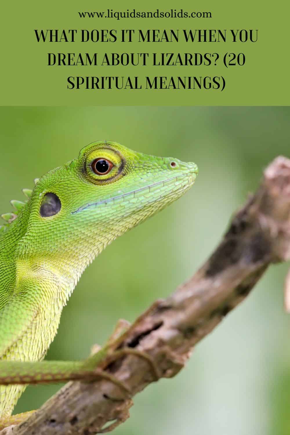 What Does It Mean When You Dream About Lizards (20 Spiritual Meanings)