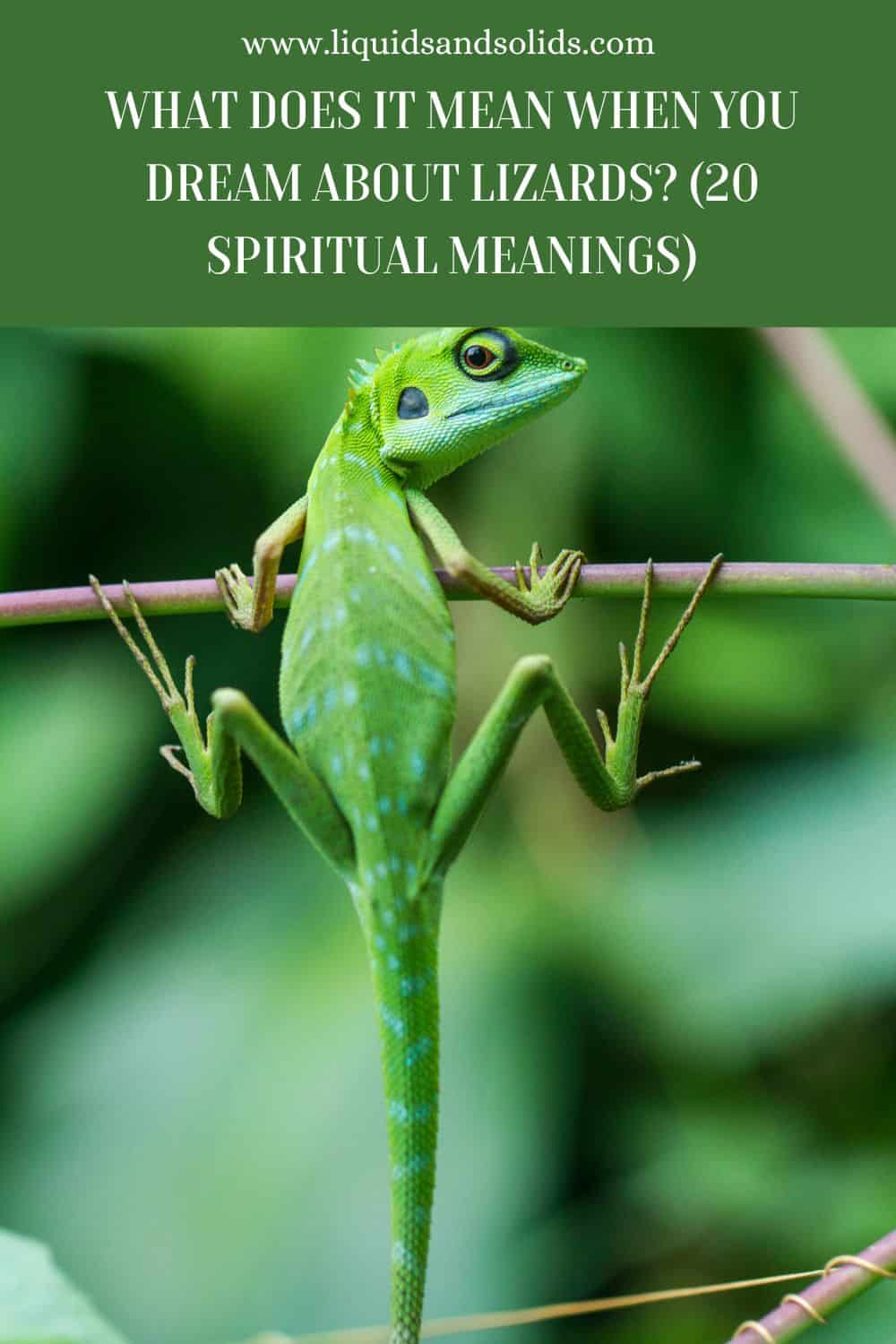What Does It Mean When You Dream About Lizards? (20 Spiritual Meanings)