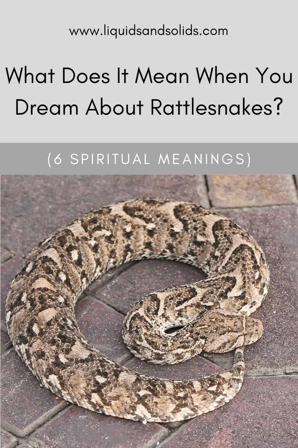 What Does It Mean When You Dream About Rattlesnakes? (6 Spiritual Meanings)