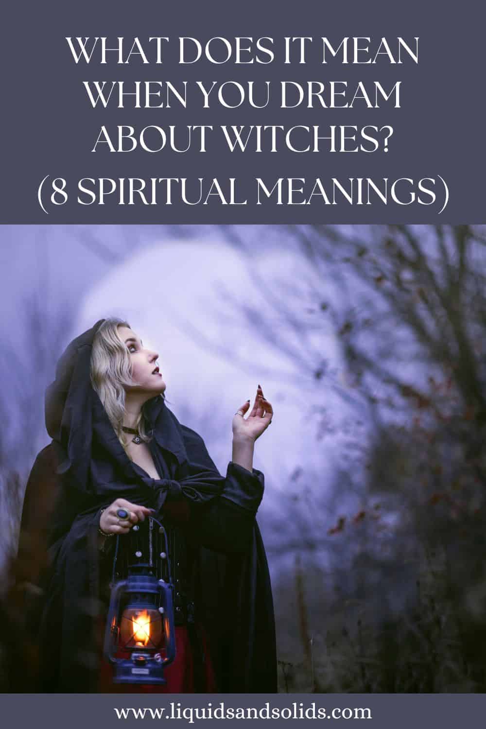 What Does It Mean When You Dream About Witches? (8 Spiritual Meanings)