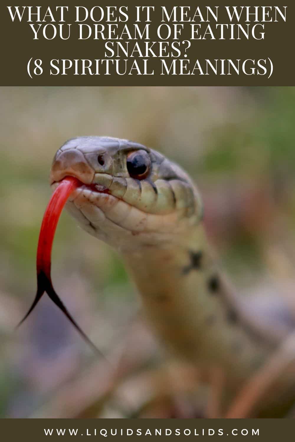 What Does It Mean When You Dream Of Eating Snakes? (8 Spiritual Meanings)