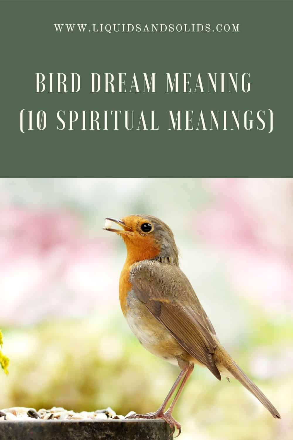 Dream about Bird? (10 Spiritual Meanings)