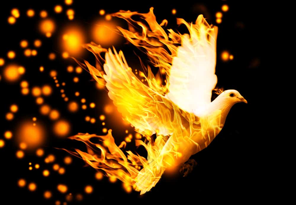 what does it mean when a dove is on fire