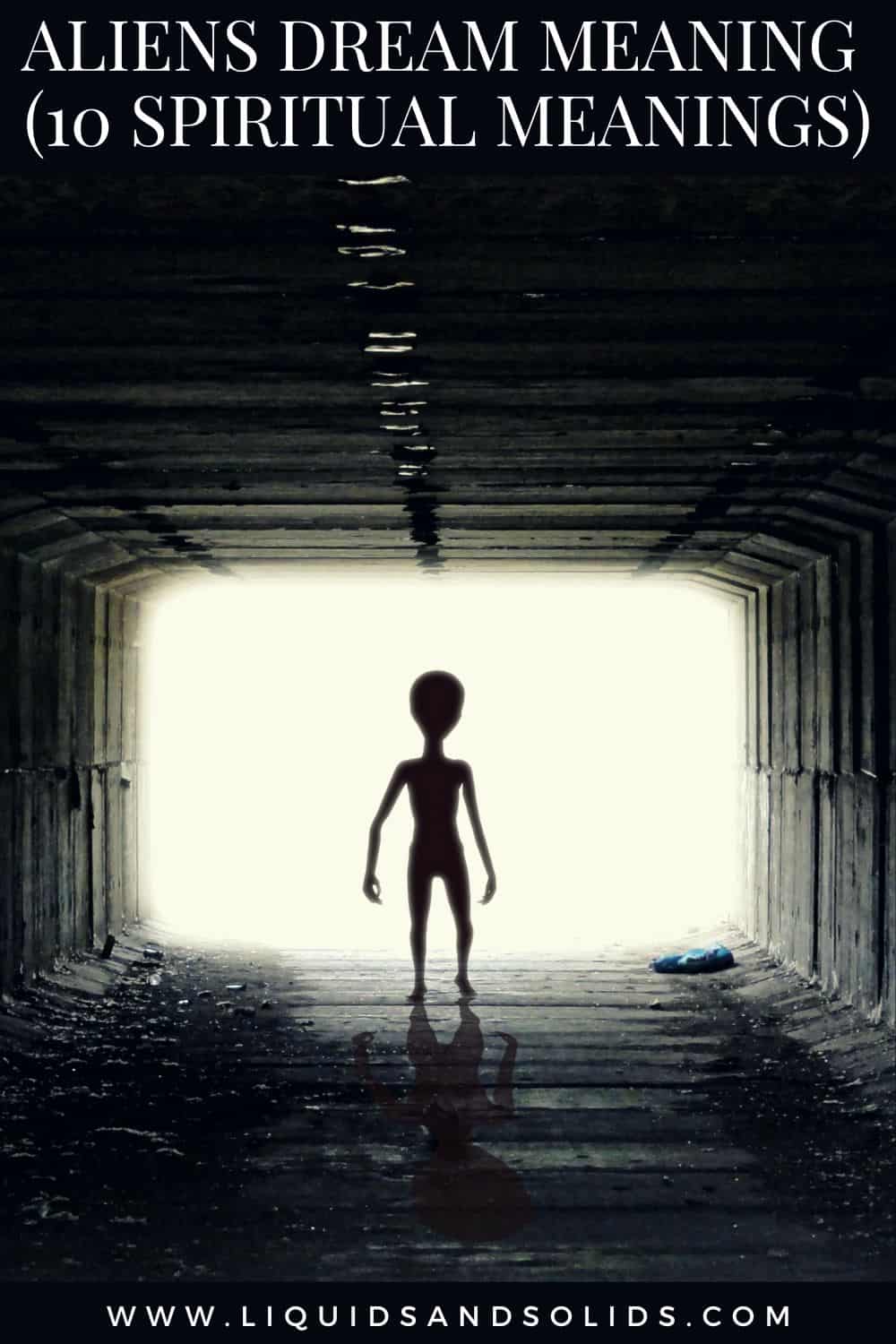 Aliens Dream Meaning (10 Spiritual Meanings)