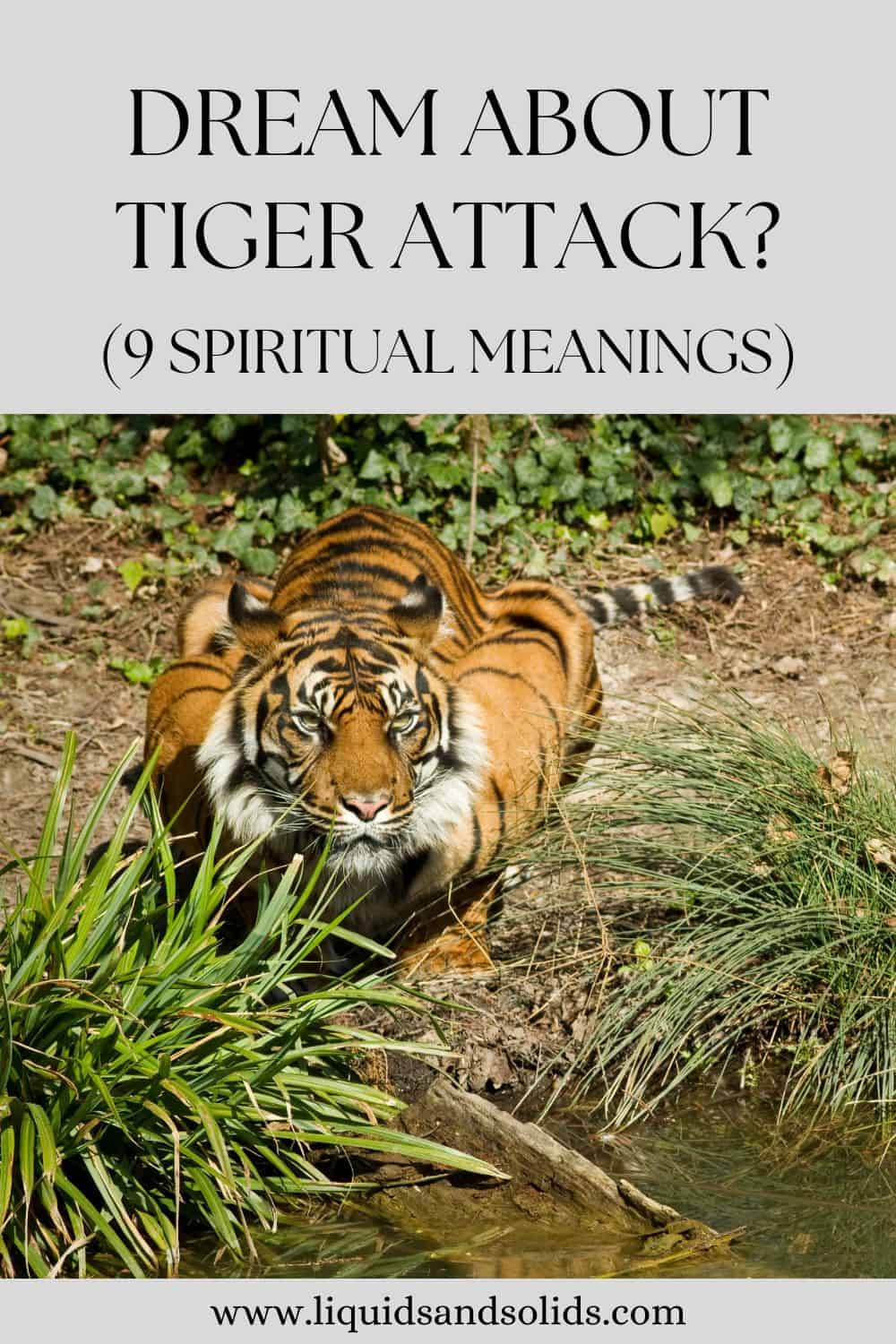 Dream About Tiger Attack? (9 Spiritual Meanings)