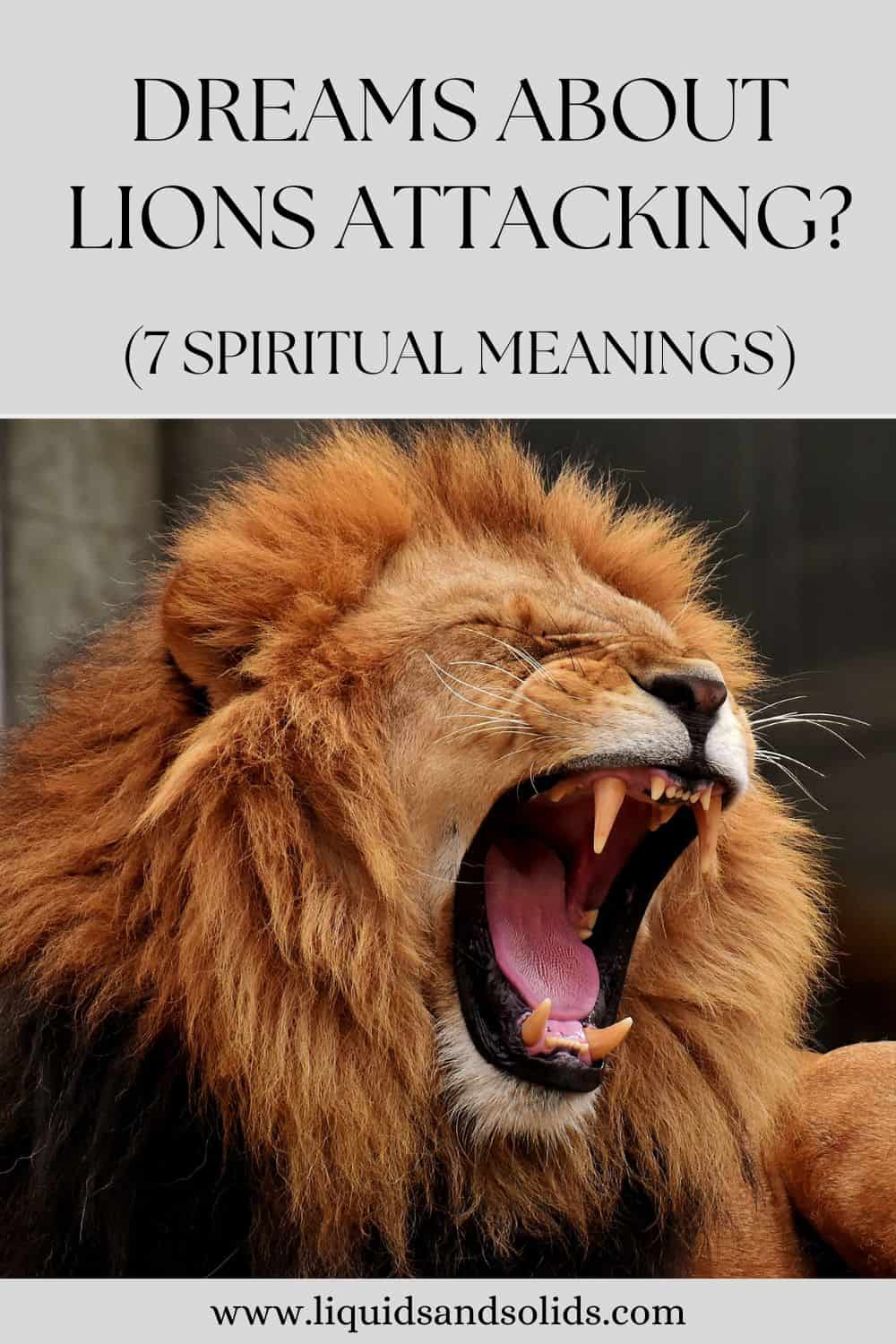 Dreams About Lions Attacking? (7 Spiritual Meanings)