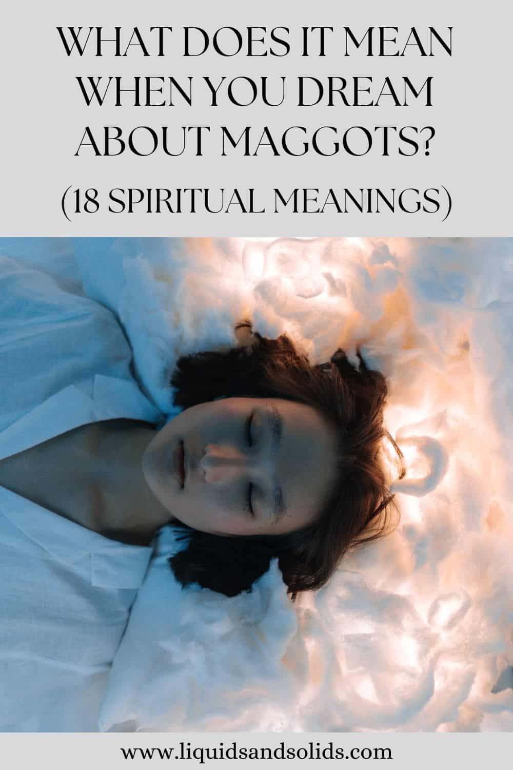 What Does It Mean When You Dream About Maggots? (18 Spiritual Meanings)