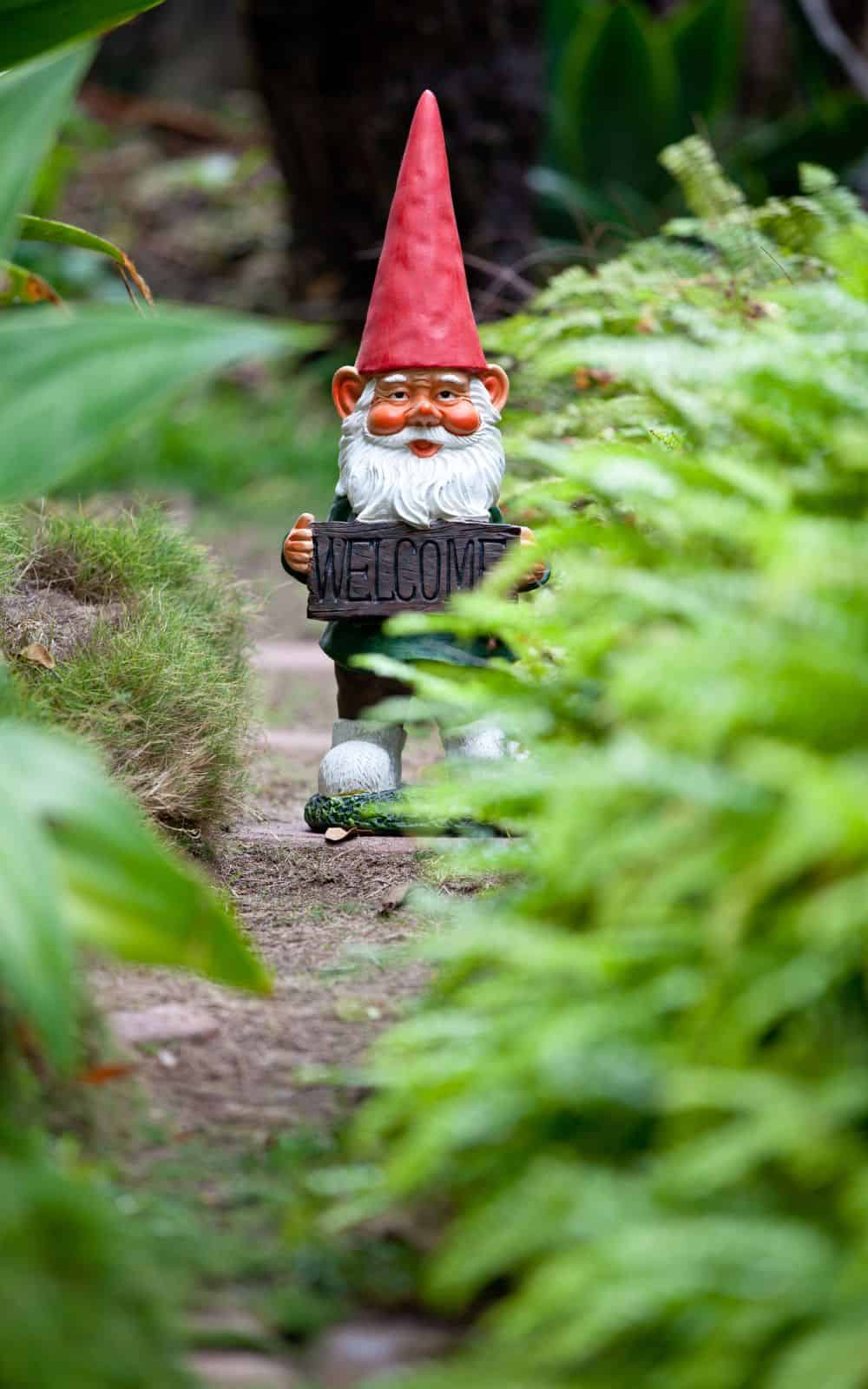 what do gnomes represent - A little history