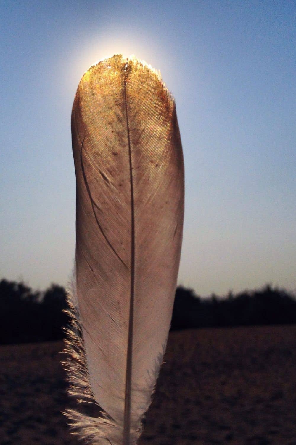 what does it mean when you find a white feather?