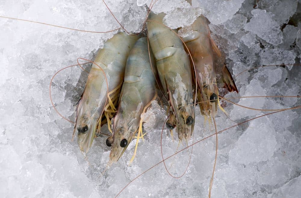 Thawing shrimp – you should revisit an old idea